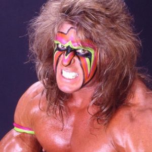 Wrestlers of the 80's and 90's