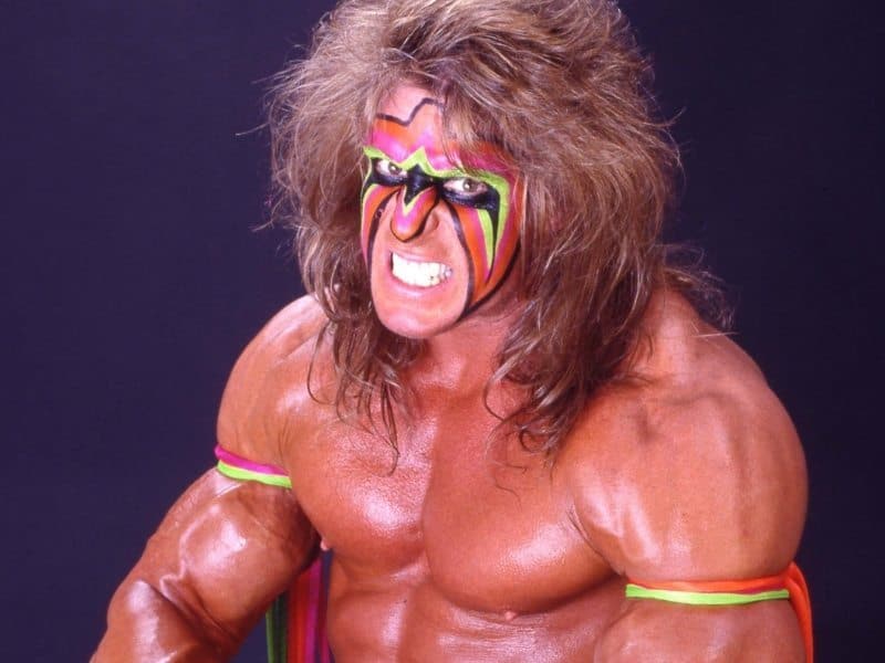 WWF Wrestlers From The 80's and 90's That Entertained A Generation