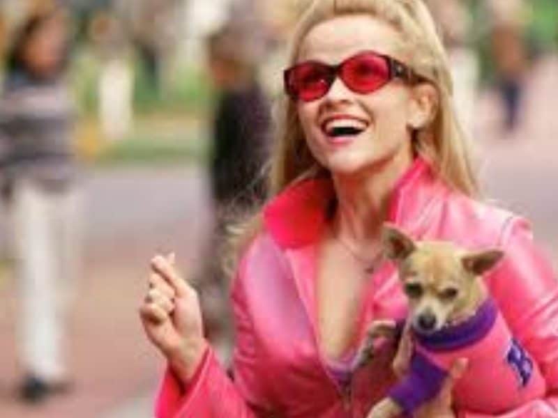 chick flicks legally blonde