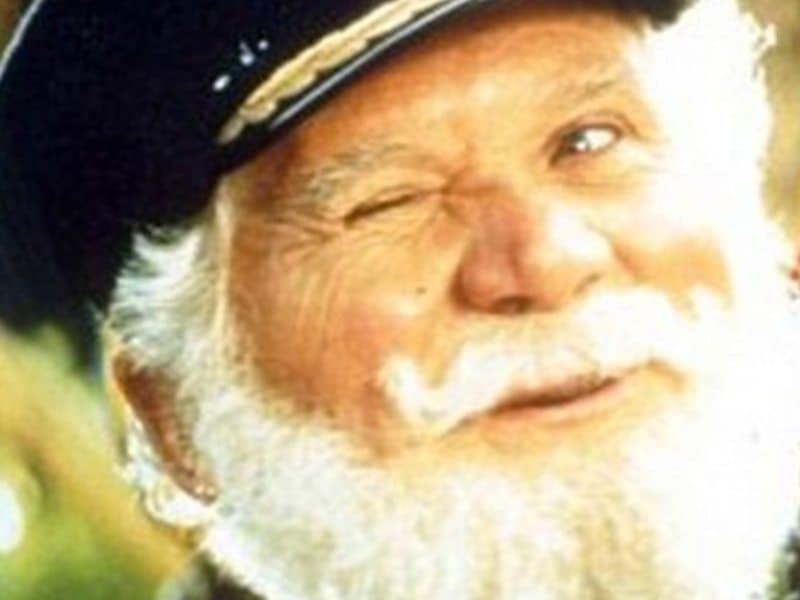 classic tv adverts captain birdseye