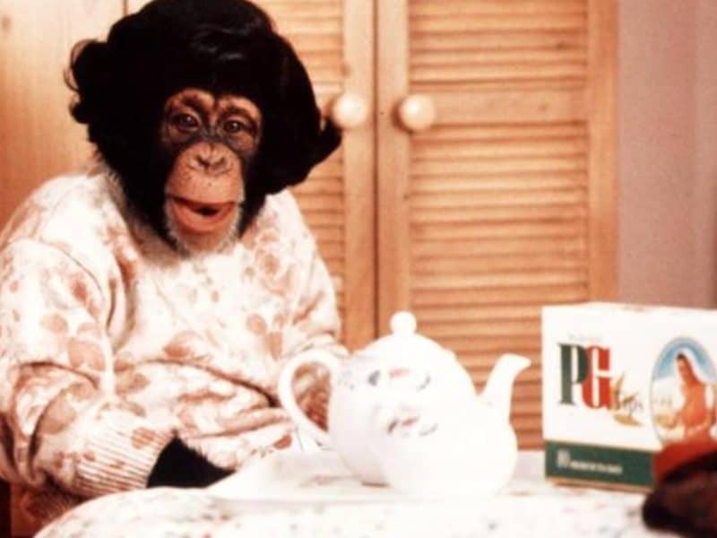 classic tv adverts pg tips