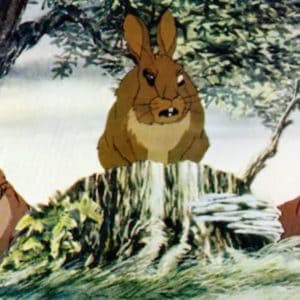 watership down