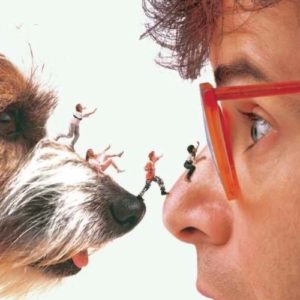 honey i shrunk the kids best 80s movies on disney plus