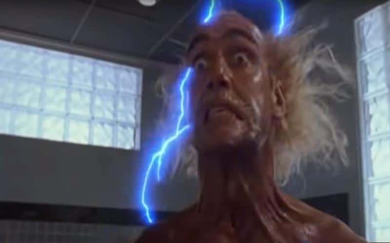 Hulk Hogan in mr nanny movie