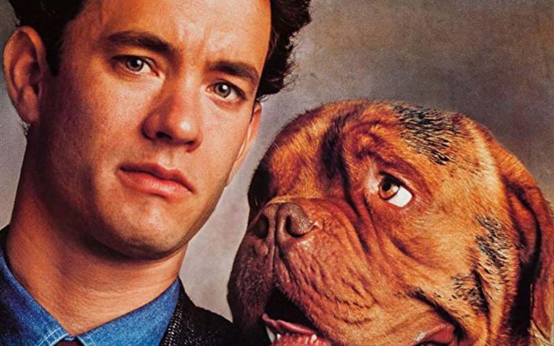turner and hooch 80's movies on disney+ uk