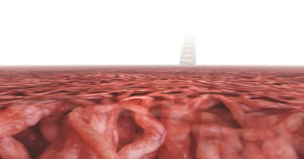 meatworld game